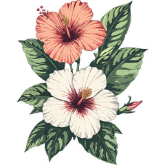Hand Drawn Hibiscus Flowers Vector Illustration – Botanical Line Art