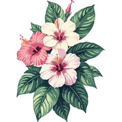 Hand Drawn Hibiscus Flowers Vector Illustration – Botanical Line Art