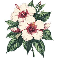 Hand Drawn Hibiscus Flowers Vector Illustration – Botanical Line Art