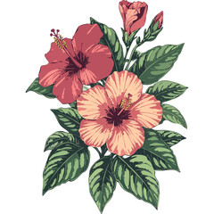 Hand Drawn Hibiscus Flowers Vector Illustration – Botanical Line Art