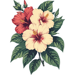 Hand Drawn Hibiscus Flowers Vector Illustration – Botanical Line Art