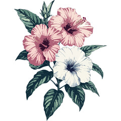 Hand Drawn Hibiscus Flowers Vector Illustration – Botanical Line Art
