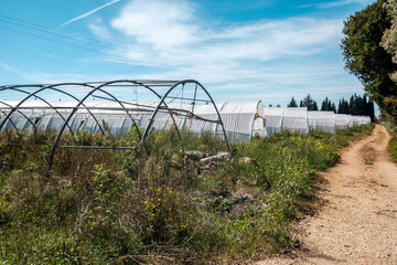 Les Serres abandonn&eacute;es, Provence, France