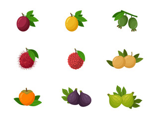 Flat design tropical fruits. Vector illustrations on white background. Icons. Set of fruits.	
