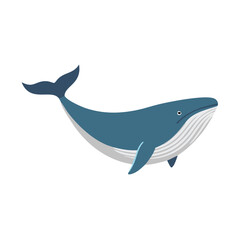 Large Blue Whale Marine Mammal Vector Illustration Isolated on White
