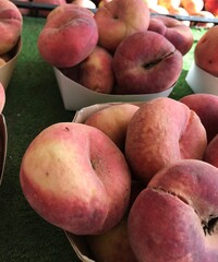 Fresh Flat Donut Peaches in a Basket – Summer Farmers Market Fruit. mediterranean fruits. Prunus persica var. close up. platycarpa isolated.
