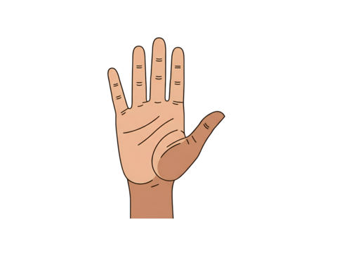 A detailed illustration of a human hand, palm facing forward, fingers extended, showing skin texture.