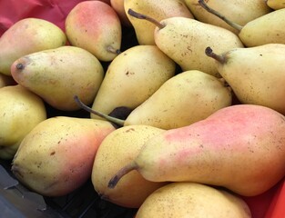 Fresh Yellow Pears in a Market Box. Autumn Harvest Fruit. Pyrus communis isolated.