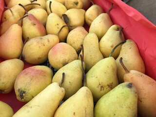 Fresh Yellow Pears in a Market Box. Autumn Harvest Fruit. Pyrus communis isolated.