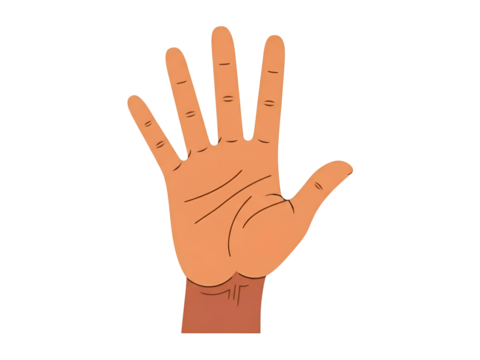 Illustration of an open human hand with fingers spread, showing the palm and wrist, against a white background.