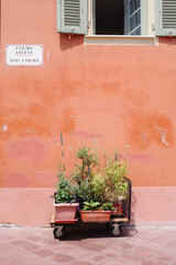 A summer day in Nice, the leisure of a traveler, the blazing sunlight, the beauty of a seaside retreat.