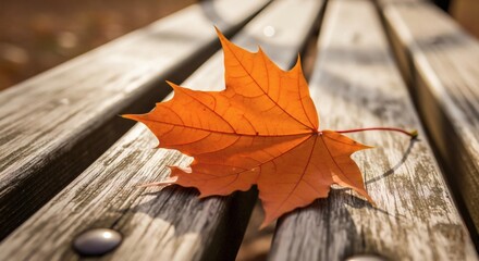 Macro shot of a vibrant orange maple leaf resting on the sun-drenched, textured slats of a weathered wooden park bench during a beautiful autumn afternoon