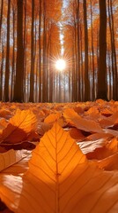 Autumnal Forest Path: Sunlit Leaves and Golden Trees