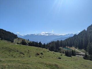 Alpine Landscape with Snow Capped Peaks and Green Meadow in Austria