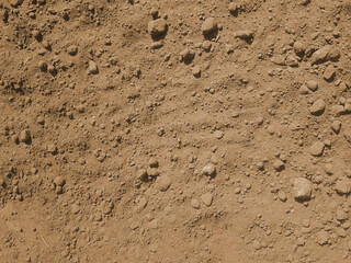 Texture fertile land. Background nature ground. Top view.