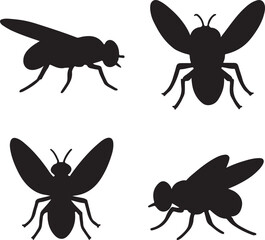 fly insect silhouette icons set side, front, back, and top views vector art illustration
