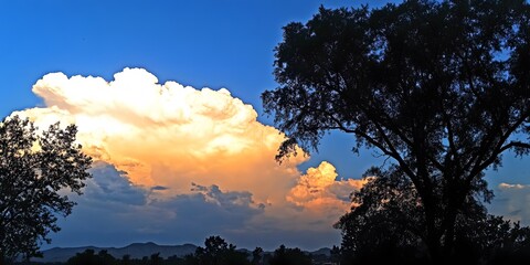 Fototapeta premium Dramatic Sunset Cloudscape with Silhouetted Trees