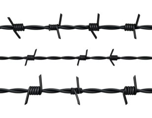 Three parallel strands of black barbed wire against a black background.  Each strand is detailed with wire twists and sharp barbs