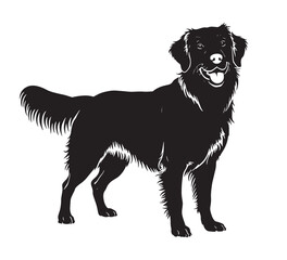 Silhouette of a Golden Retriever Dog