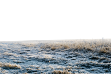 Frosty Meadow at Dawn isolated on white background