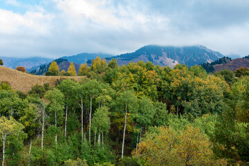 mountain landscape with trees and clouds