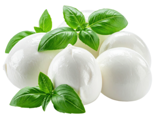Fresh mozzarella balls, nestled together, surrounded by fresh basil leaves