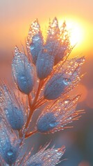 Dew-Kissed Sunrise: A Serene Botanical Masterpiece