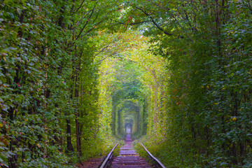 long railway among the green forest tunnel, beautiful transportation scene