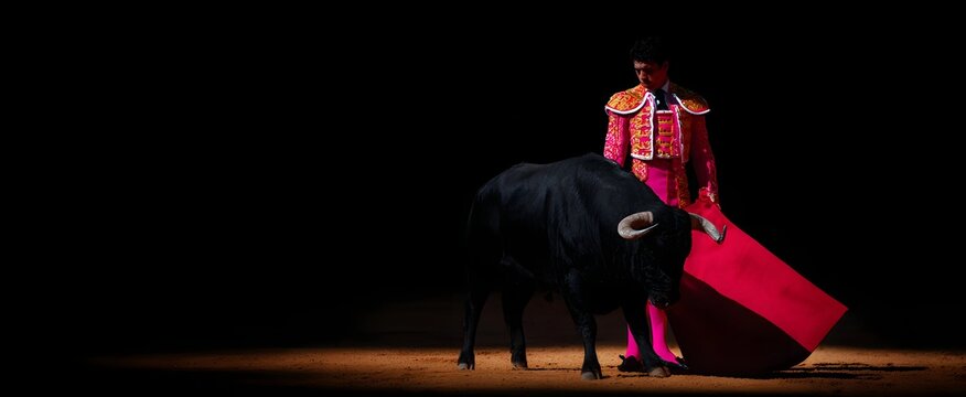 The bullfighter stands ready to tango with the charging bull in the arena.