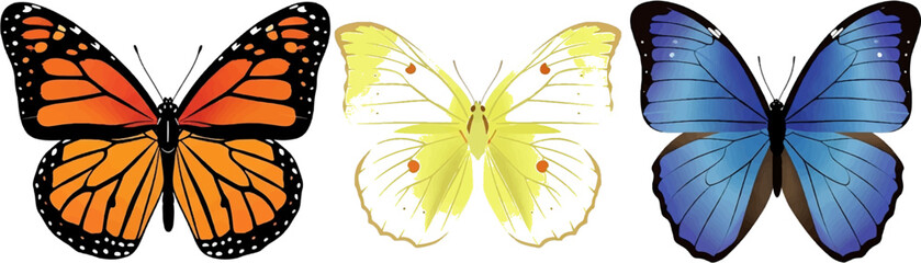 Three colorful butterflies, elegant monarch, delicate yellow, and vibrant blue, vector design perfect for spring