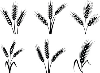 Collection of wheat ears and rye grain stalks silhouettes, symbolizing agriculture, harvest, bakery, and food, graphic vector illustration design set