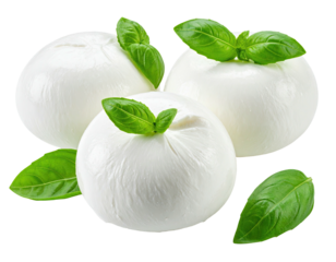 Three balls of fresh white cheese, topped with fresh basil leaves