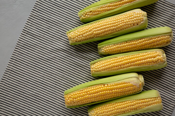 Fresh Raw Organic Corn on the Cob in the Husk, top view. Copy space.