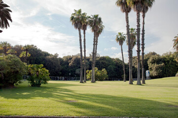 Fototapeta premium Inside the Regal Park of Capodimonte, today a public park in Napoli but the former royal residence commissioned by Bourbons in 1742. Naples, Italy.