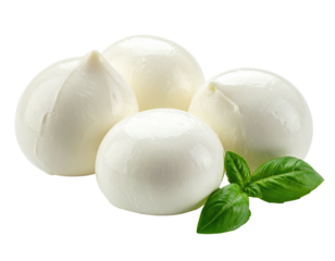 Three round balls of white soft cheese, slightly overlapping, with a few green basil leaves at the bottom