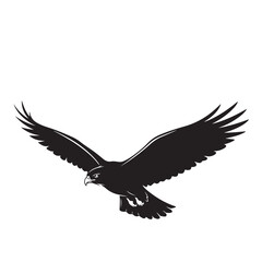 Soaring Eagle Silhouette with Extended Wings on White Background