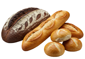 A pristine arrangement of dark rye loaf, golden baguettes, and whole grain rolls, showcasing artisan textures on a transparent background with soft studio light, concept for bakery advertising