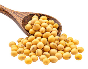 Wooden spoon filled with and overflowing with bright yellow soybeans