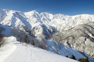 Winter scenery in Hakuba Valley
