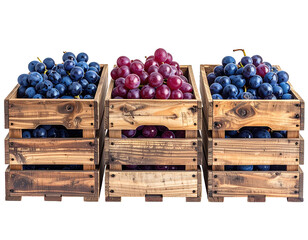 Three wooden crates, each filled with a different color of grapes.  Red and blue grapes in neat bunches