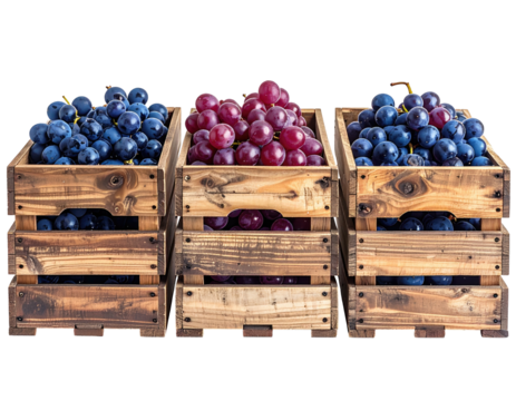 Three wooden crates, each filled with a different color of grapes.  Red and blue grapes in neat bunches
