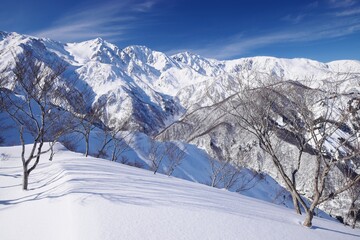 Winter scenery in Hakuba Valley