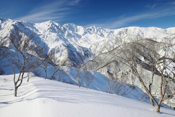 Winter scenery in Hakuba Valley