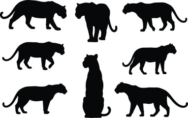 Black silhouette collection of cheetah poses, standing cheetah, walking cheetah, sitting cheetah, jungle predator, wild animal vector illustration design
