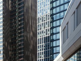Fototapeta premium Modern high-rise buildings with glass facades against a clear blue sky in an urban financial district