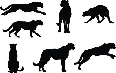 Cheetah silhouette collection, running and sitting wild cats, jungle predator vector illustration, wildlife animal design, fast feline shadow, nature graphic artwork