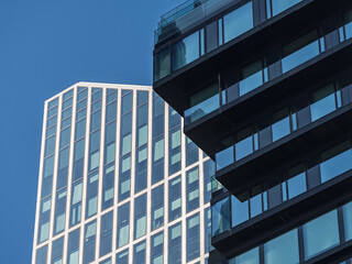 Obraz premium Modern high-rise buildings with glass facades against a clear blue sky in an urban financial district 