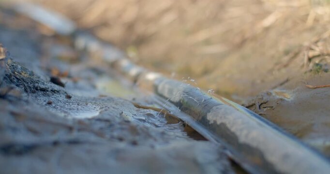 Water spurting from a small pipe hole after turning off the garden motor.