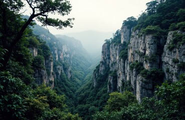 Lush green canyon with towering cliffs and dense forest under a misty sky