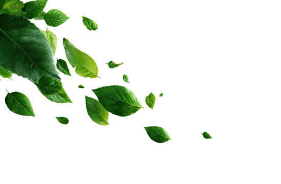 Abstract image of scattered, vibrant green leaves against a black background.  Many leaf shapes and sizes, varying shades of green, creating a dynamic, almost windswept, effect